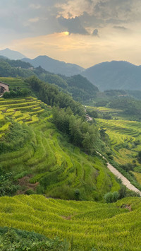 绿色草原-拍信图库