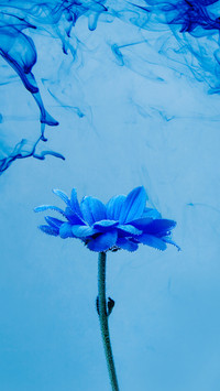 Romantic bouquet-04