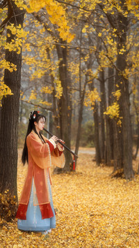Do you know several ancient musical instruments 02