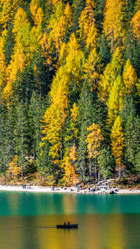 Lake in autumn