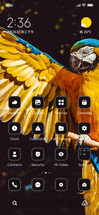 Yellow Macaw