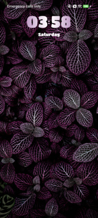 Purple Leaf