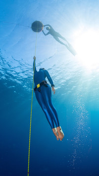 Free dive-01