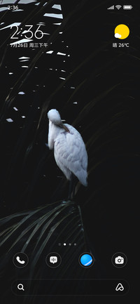 Palm Heron