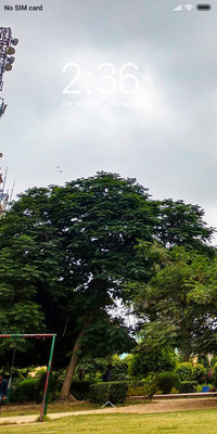 Green Environment_DWM2