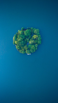 树·岛