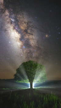Secrets in the Deep Universe 03