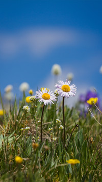 Spring