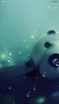 梦幻熊猫【动态+多锁屏+音乐界面】