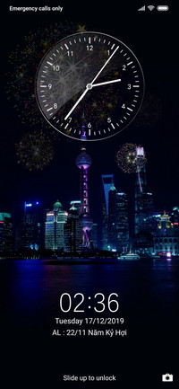 Lunar New Year