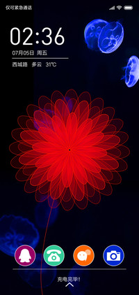 暗夜红花