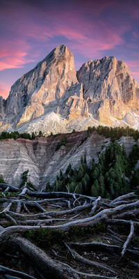 Sunset Glow5.jpg
