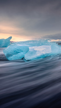 Stranded ice blue whale 2