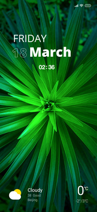 Plant Grass
