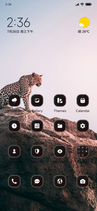 Jungle Safari