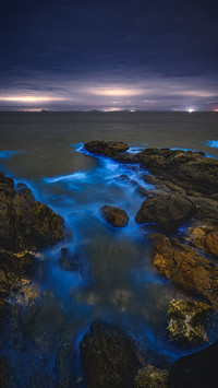The night view of shuchuan