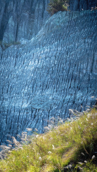 Yuxi yuanjiang colorful ointment forest