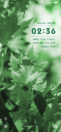 高清护眼 绿叶
