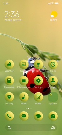 nature ladybug