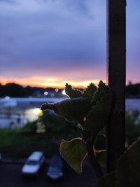 IMG_20251021_180051.jpg