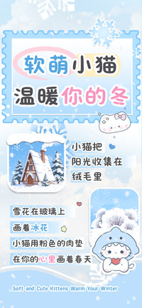 软萌小猫温暖你的冬