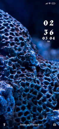 Fishes Underwater