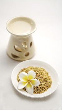 Delicious almond curd 2