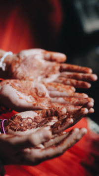 Everything Indian (7)