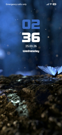 Blue Butterflies