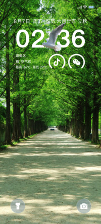 AP澎湃景深