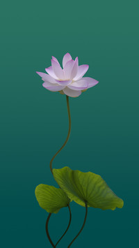 The fate of li bai and lotus 3