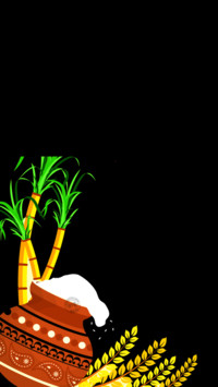 Pongal  (4)