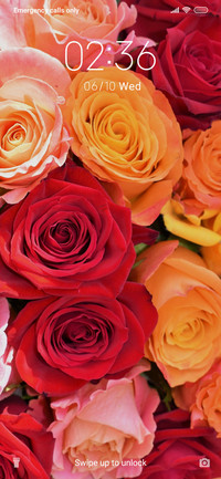 Rose_3MDS