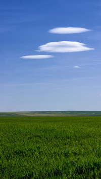 Farm under the sky