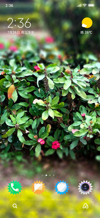 PlantsTree_DWM2