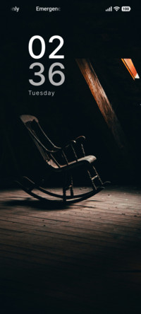 Lonely Rocker