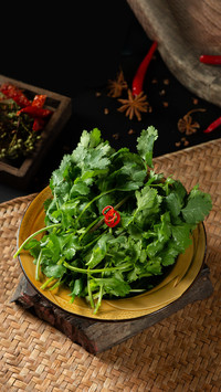 Why do some people not like to eat cilantro