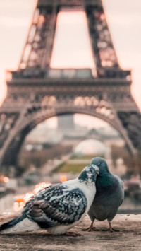 Romantic (1)