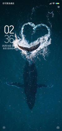 深海蓝鲸