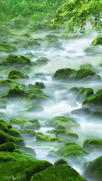 Scenery in Li Bais ancient poems 53