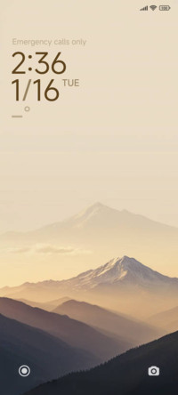 Brown Landscape