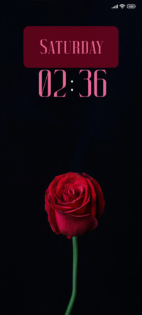 Red Rose