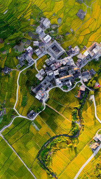 Chinese seclusion complex 79