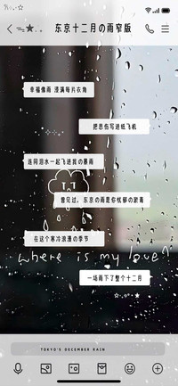 东京十二月的雨窄版