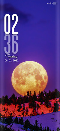 Moonlit ti