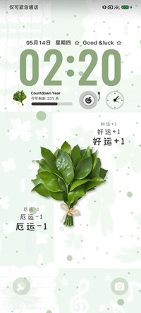 Pro 好运柚子叶