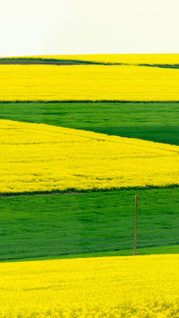 Wide fields