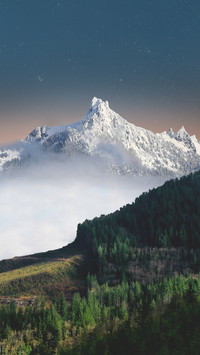 Majestic Peak Glows, Starlit Forest Below