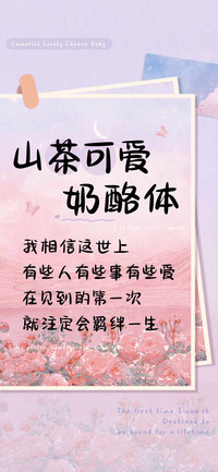 山茶可爱奶酪体
