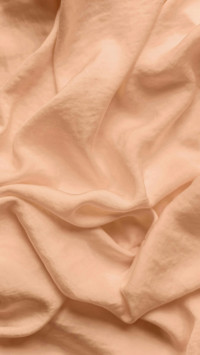 Camel texture